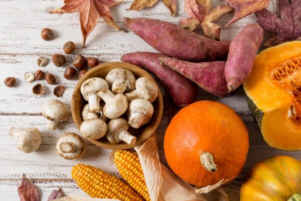 Materias primas en la preelaboracion y conservaciòn de vegetales y setas
